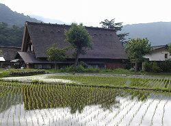 20070611shirakawa (10).jpg